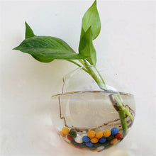 2017 New Hanging Flower Pot Glass Ball Vase Terrarium Wall Fish Tank Aquarium Container Homw Decor