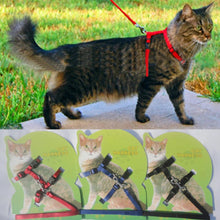 Cat Harness And Leash Hot Sale 4 Colors Nylon Products For Animals Adjustable Pet Traction Harness Belt Cat Kitten Halter Collar