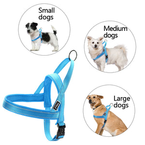 No Pull Reflective Dog Harness Leash Set Pet Vest Lead For Small Meduim Large Dogs Perfect for Daily Training Walking XXS-L