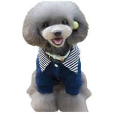 Preppy Blue & White Knit Top for Your Pet