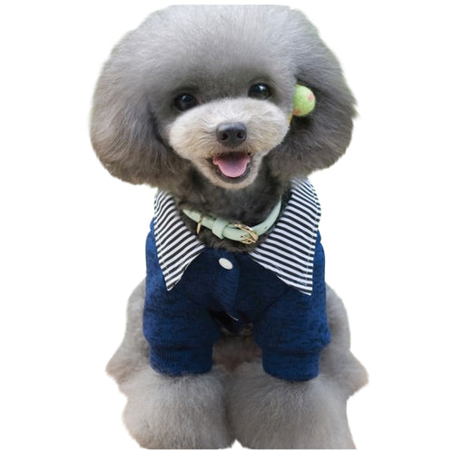 Preppy Blue & White Knit Top for Your Pet